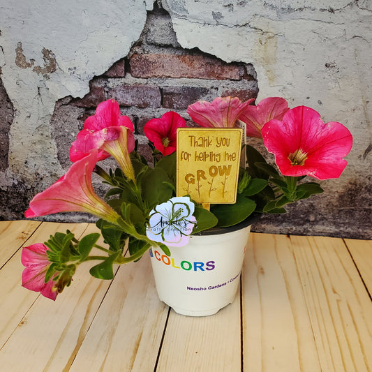 "Thanks for helping me grow" Plant Stake, Teacher appreciation gift