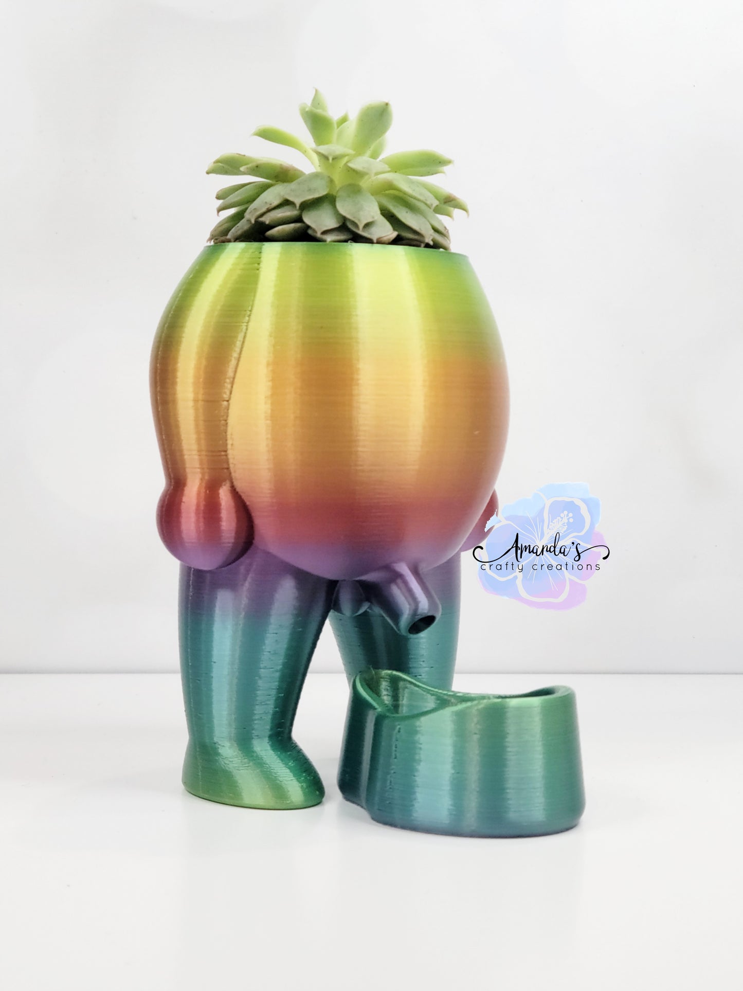 "Pee-ter" 3d printed peeing succulent planter, Pee-ter pot, peeing succulent planter pot, succulent pot, plant pot, 3d printed planter